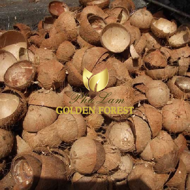 Coconut Shell Powder 8